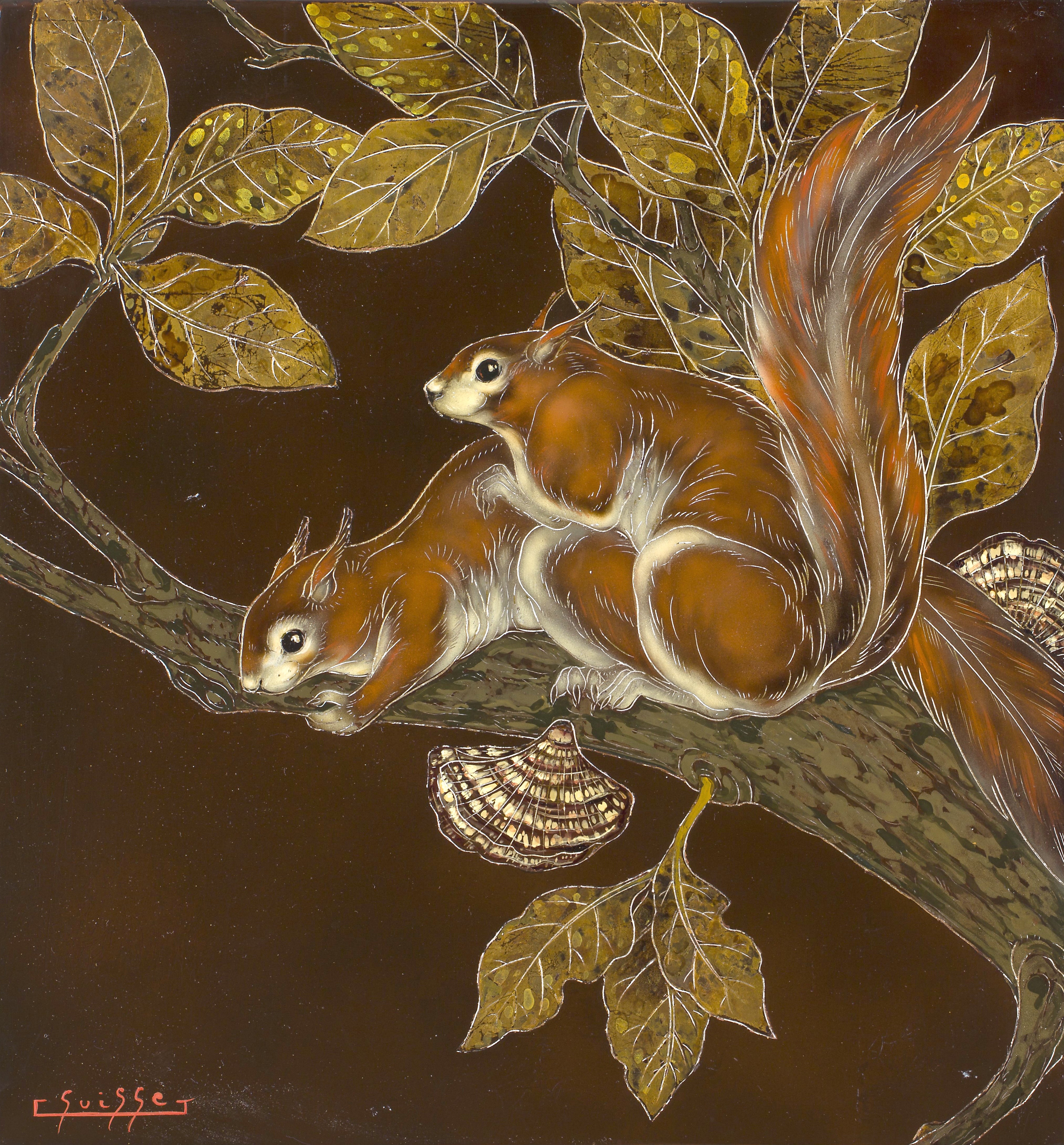 Ècureuils roux branchés